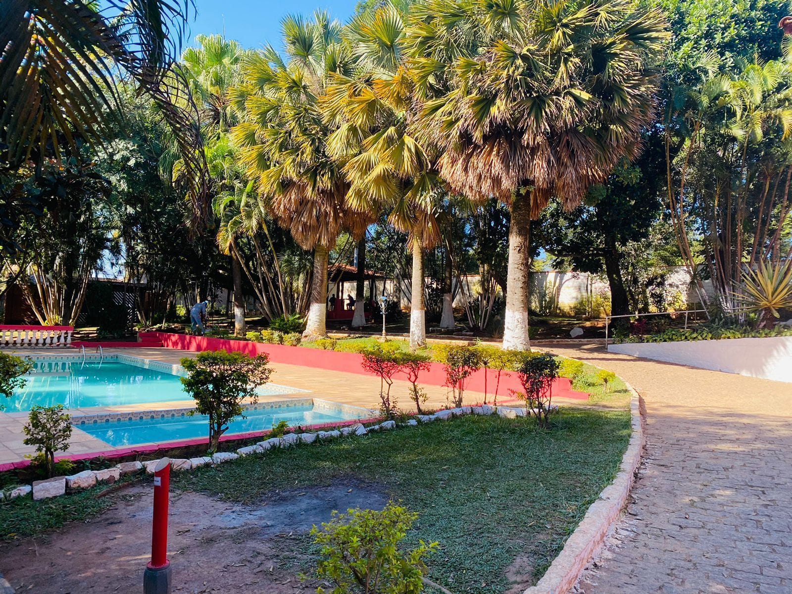 Área de lazer com piscina cercada por palmeiras