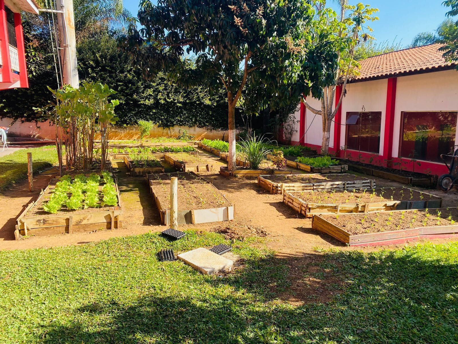 Horta terapêutica com canteiros de hortaliças